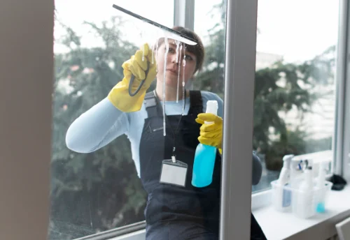 Nettoyage de vitres intérieures et extérieures à Bouzy